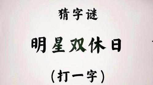 明星双休日
